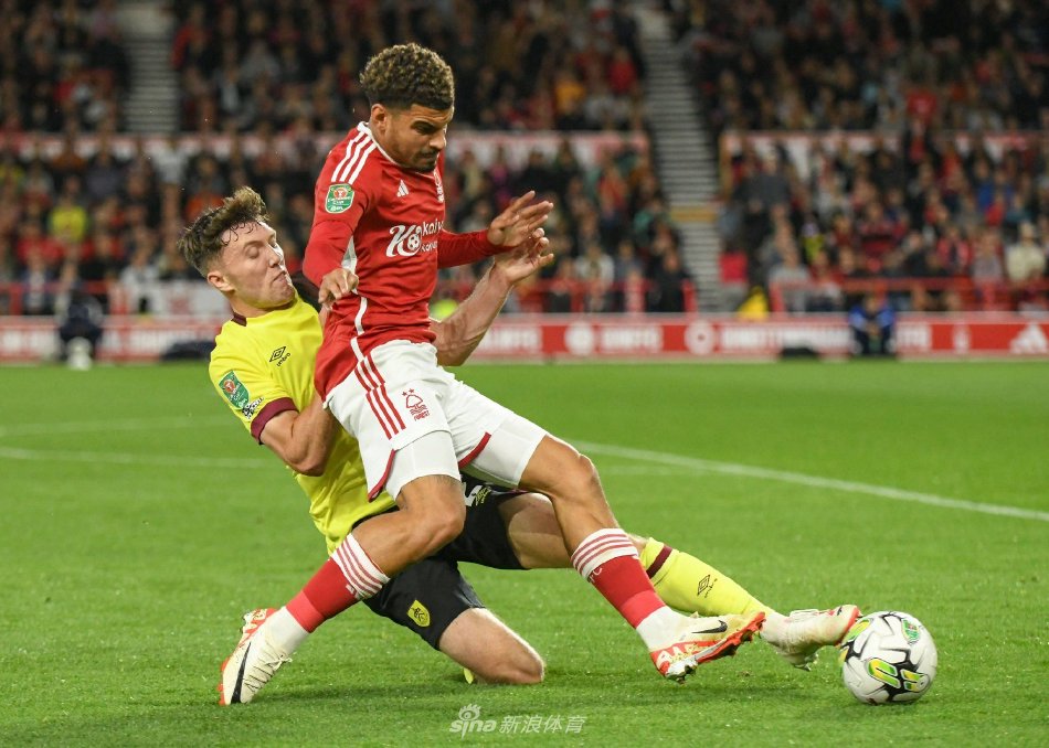 数的日日夜 数的日日夜